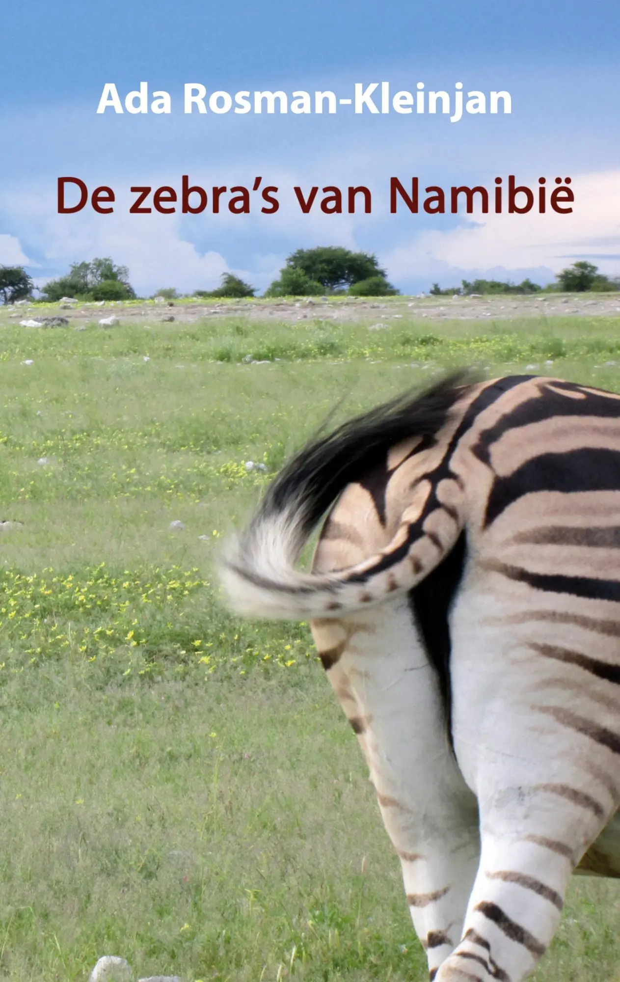 De zebra's van Namibië (Kleintje Wombat. Verre bestemmingen dichtbij)