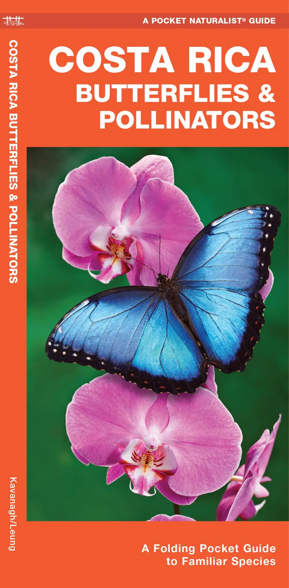 Cover: 9781620054659 | Costa Rica Butterflies &amp; Pollinators | James Kavanagh | Taschenbuch