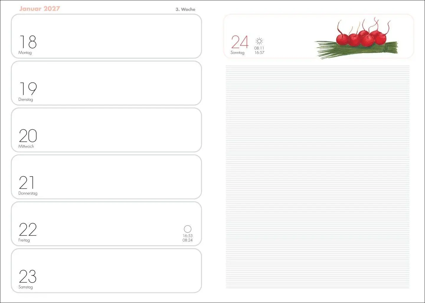 Bild: 9783756414659 | Lady Terminkalender A6 2027 | Heye | Buch | Kalenderbücher Heye | 2027