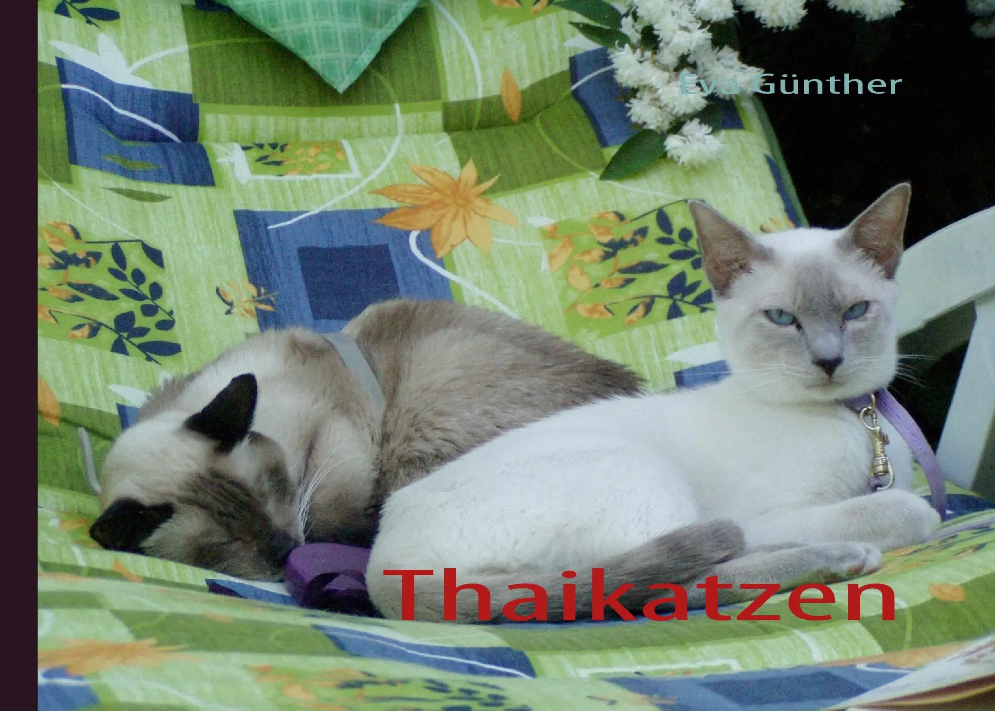 Cover: 9783839124659 | Thaikatzen | Eva Günther | Taschenbuch | 68 S. | Deutsch | 2010