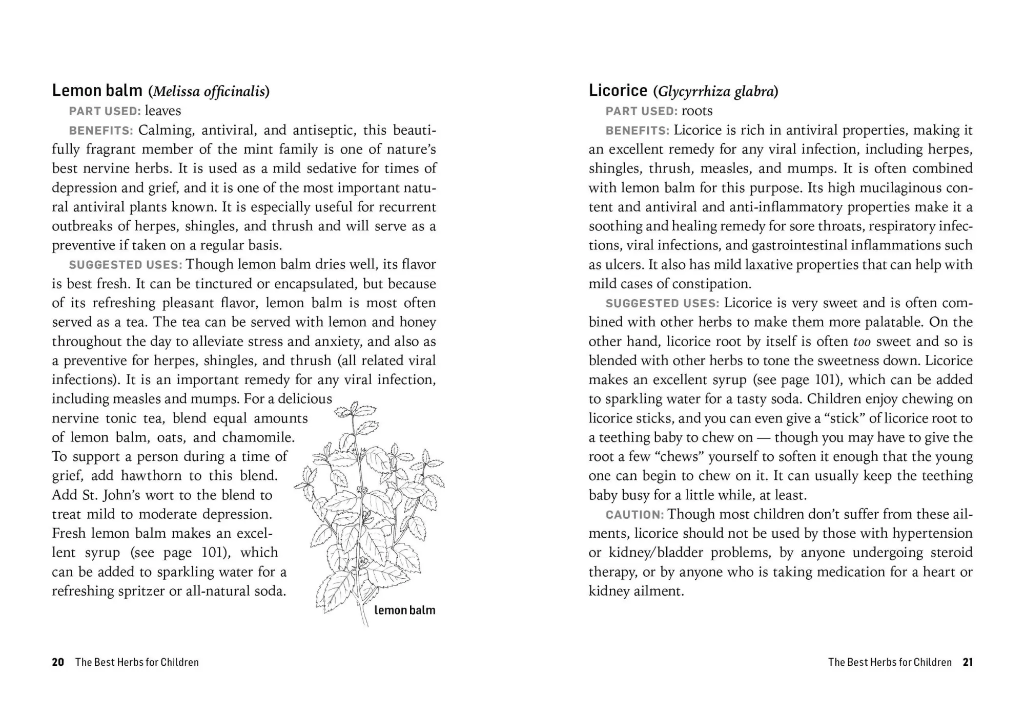 Bild: 9781612124759 | Herbs for Children's Health | Rosemary Gladstar | Taschenbuch | 2015