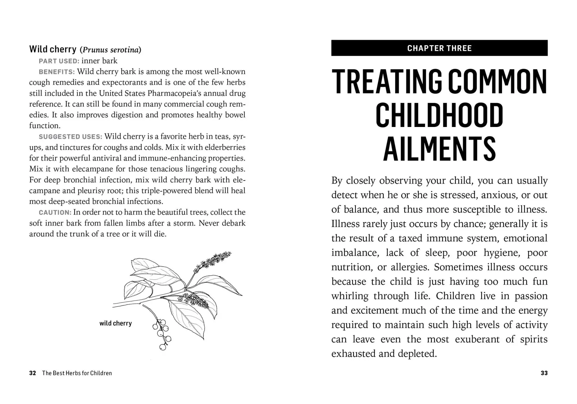 Bild: 9781612124759 | Herbs for Children's Health | Rosemary Gladstar | Taschenbuch | 2015