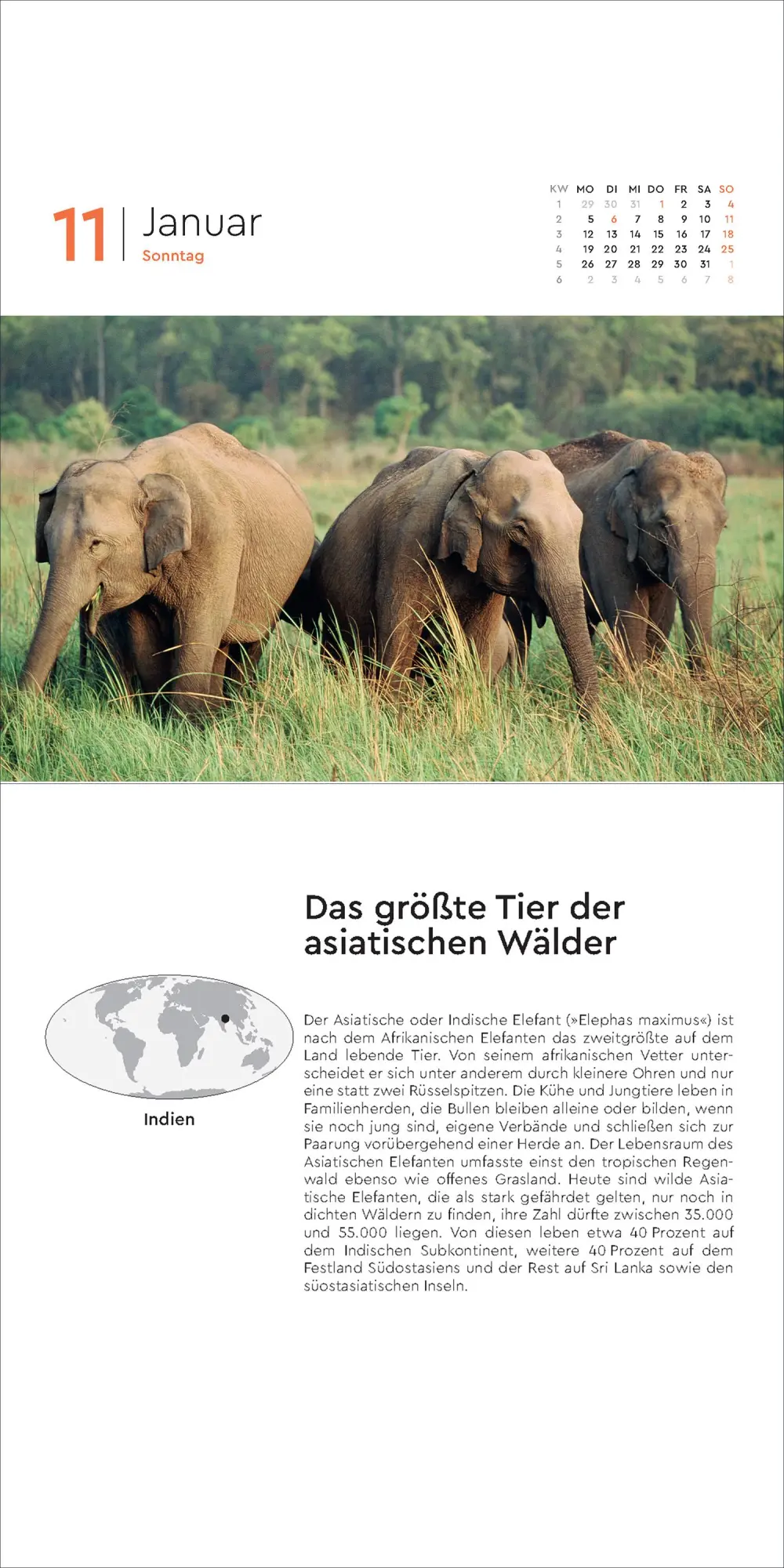 Bild: 9783965914759 | Rekorde der Welt - KUNTH 365-Tage-Abreißkalender 2026 | Kalender
