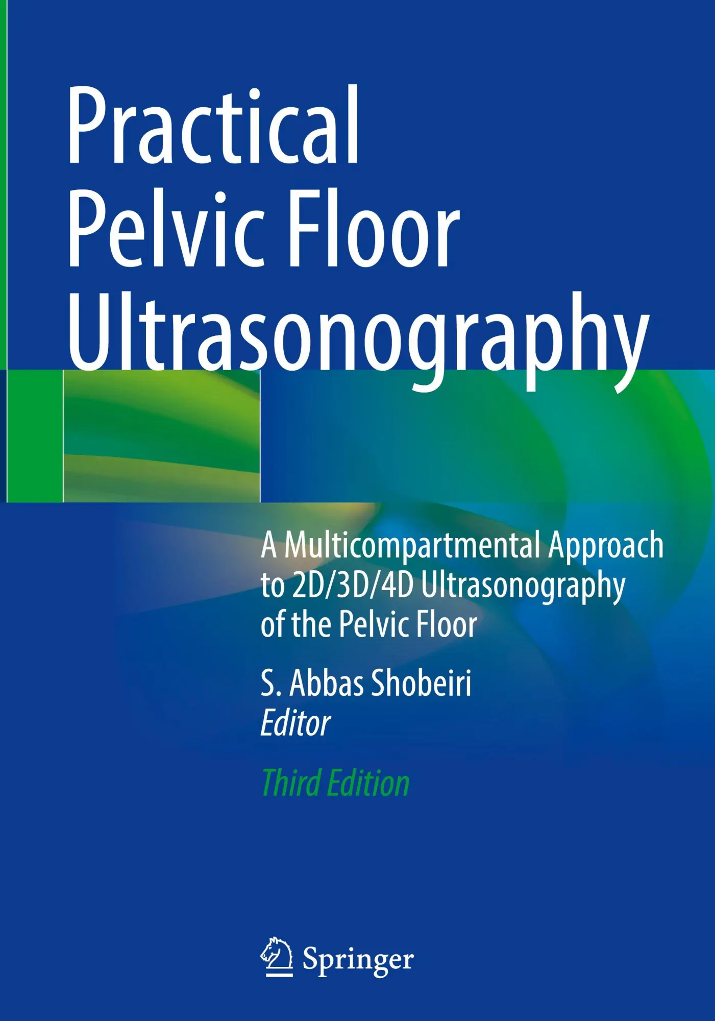 Cover: 9783031924859 | Practical Pelvic Floor Ultrasonography | S. Abbas Shobeiri | Buch