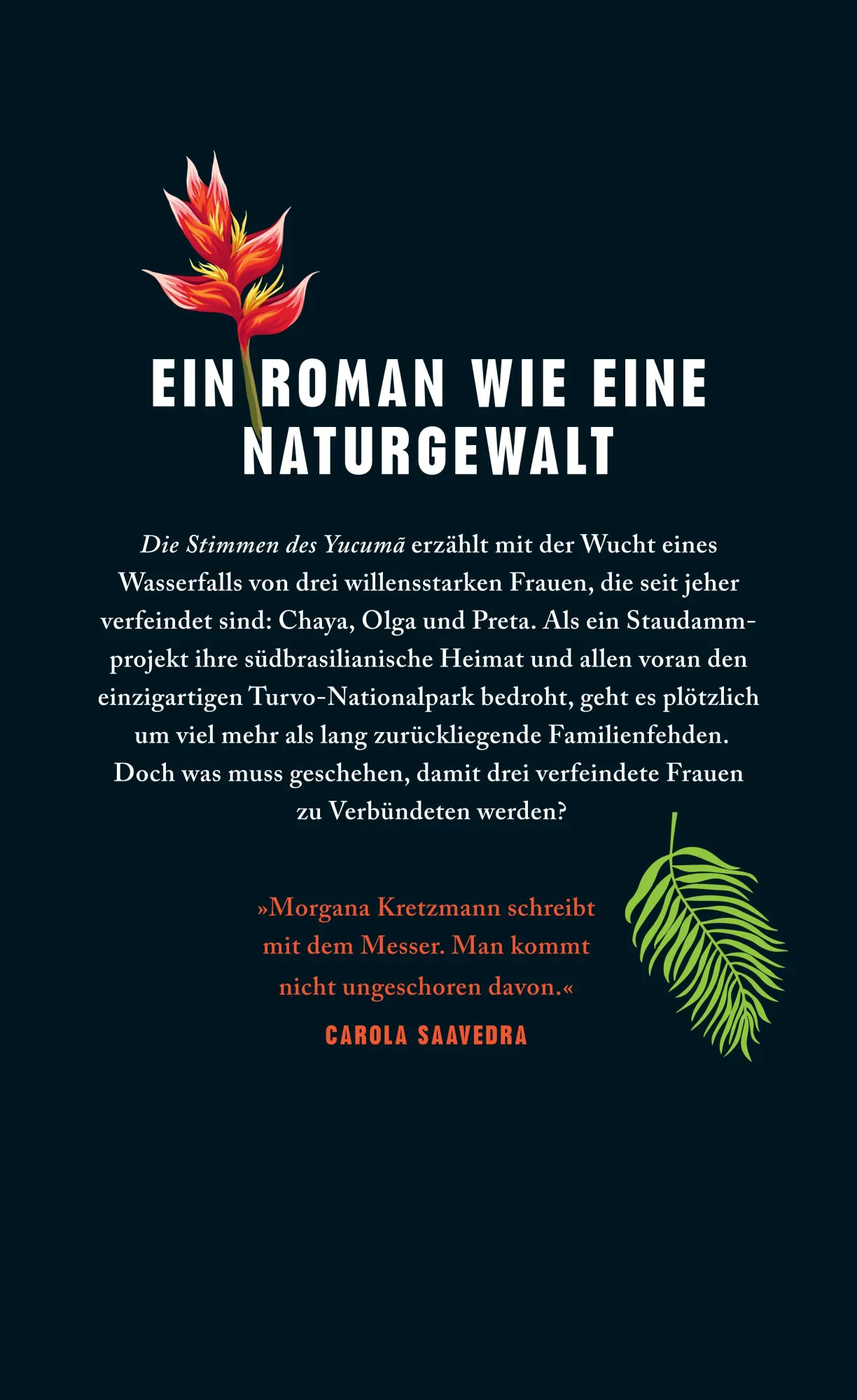Rückseite: 9783458644859 | Die Stimmen des Yucumã | Roman Ein Buch wie eine Naturgewalt | Buch