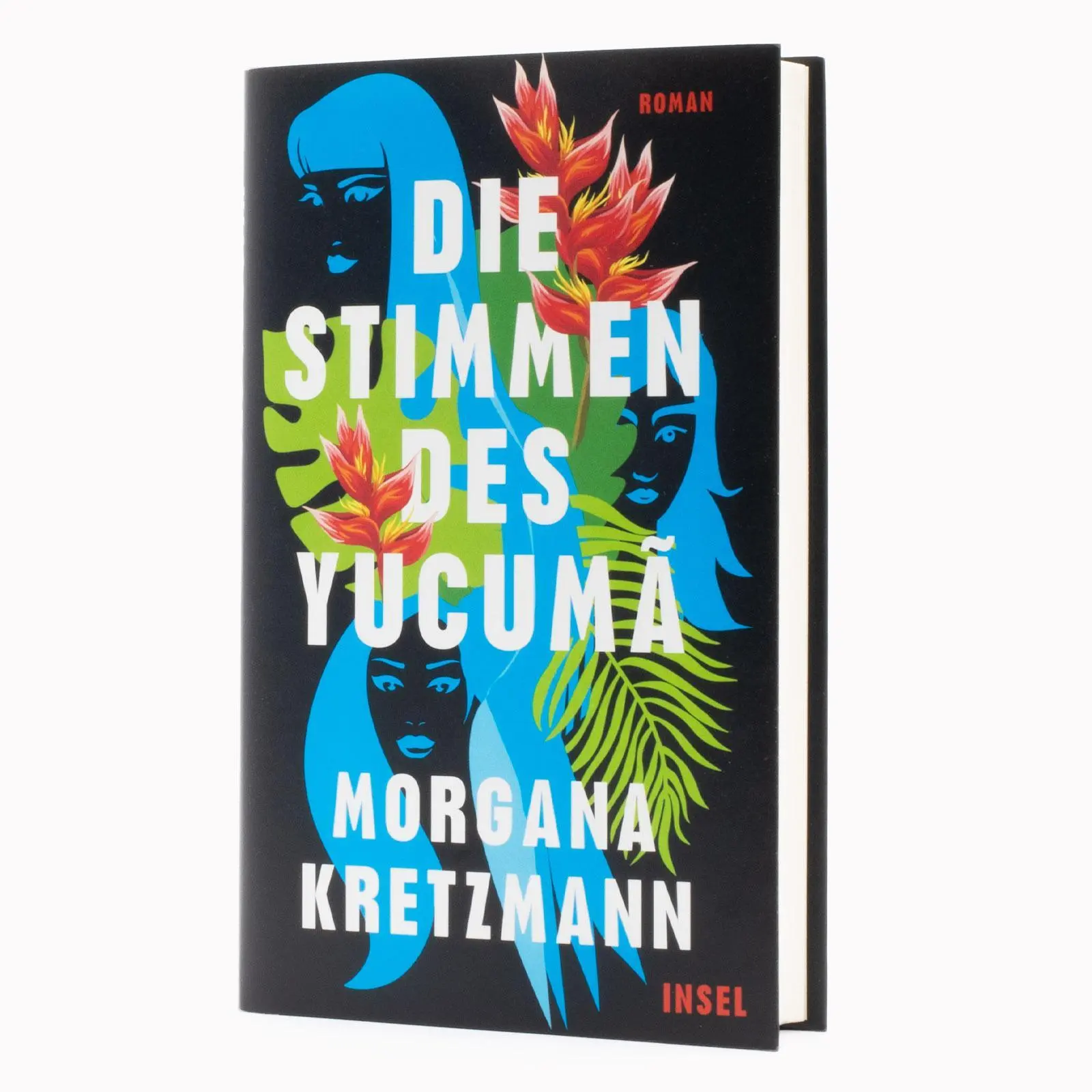 Bild: 9783458644859 | Die Stimmen des Yucumã | Roman Ein Buch wie eine Naturgewalt | Buch
