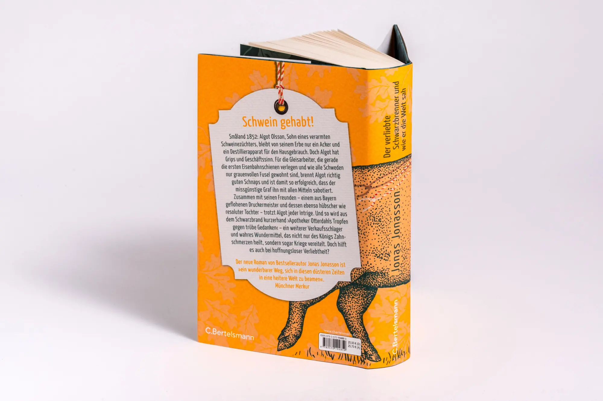 Bild: 9783570104859 | Der verliebte Schwarzbrenner und wie er die Welt sah | Jonas Jonasson