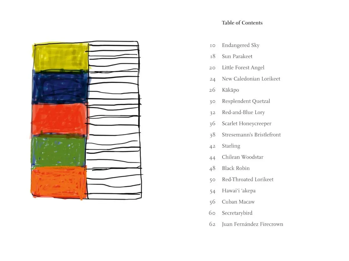 Bild: 9783775754859 | Endangered Sky | Sean Scully &amp; Kelly Grovier | Kelly Grovier | Buch