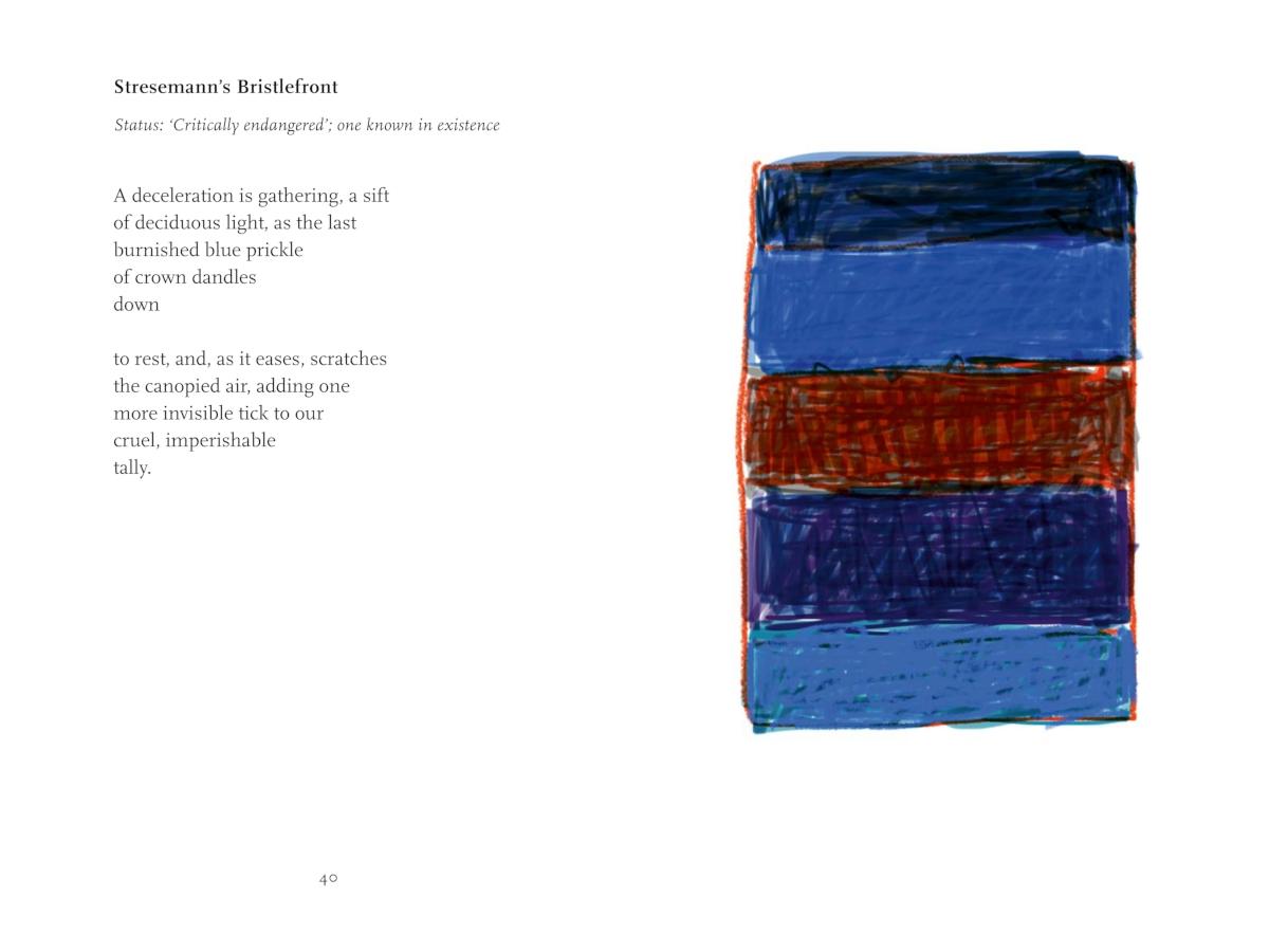 Bild: 9783775754859 | Endangered Sky | Sean Scully &amp; Kelly Grovier | Kelly Grovier | Buch