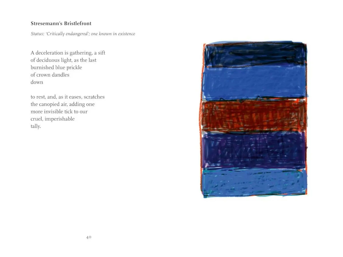 Bild: 9783775754859 | Endangered Sky | Sean Scully &amp; Kelly Grovier | Kelly Grovier | Buch