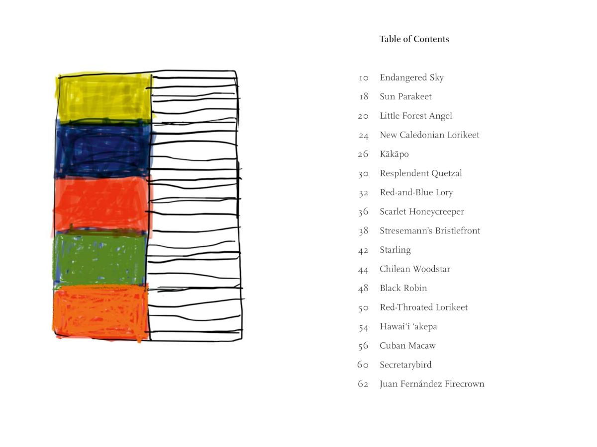 Bild: 9783775754859 | Endangered Sky | Sean Scully &amp; Kelly Grovier | Kelly Grovier | Buch
