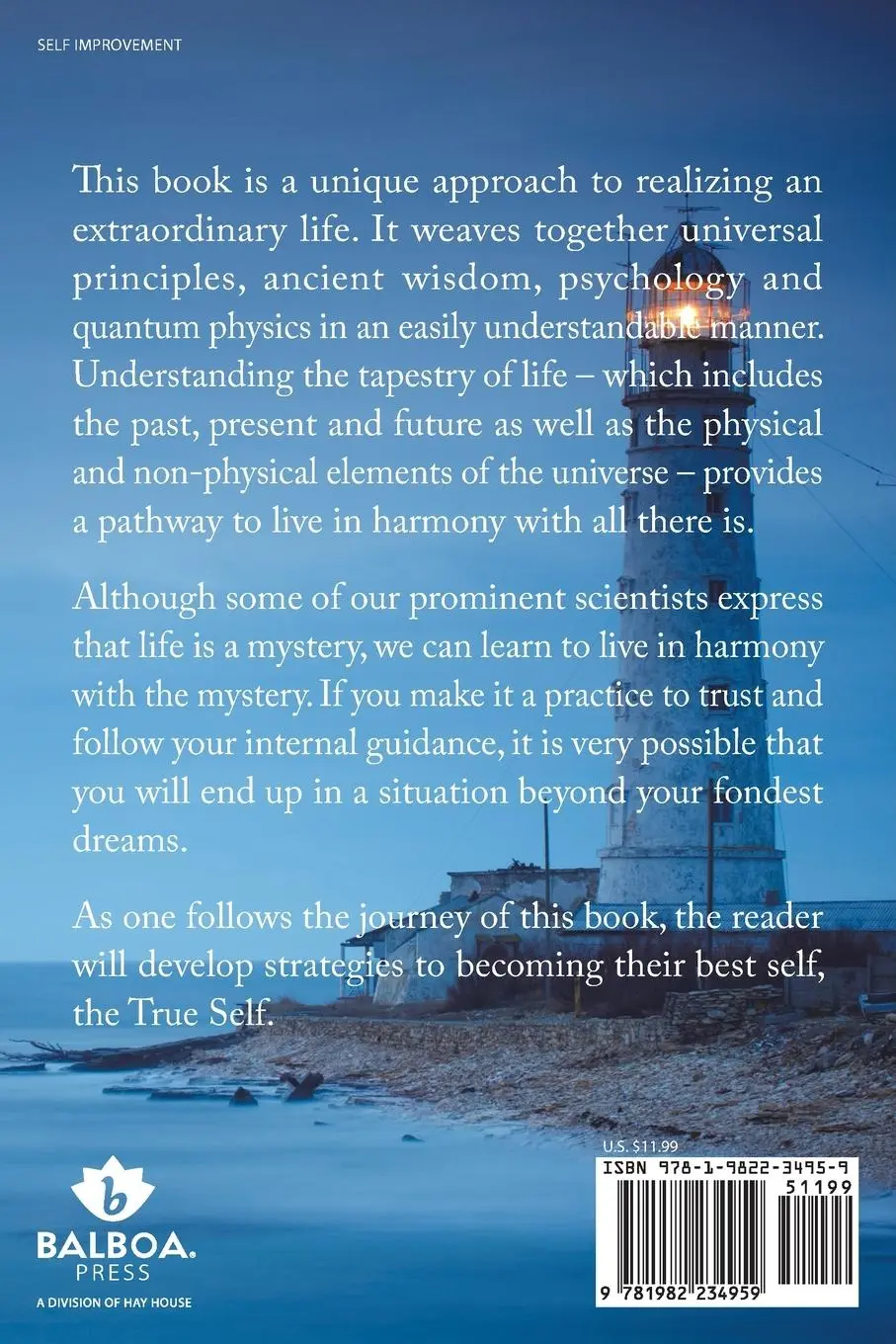Rückseite: 9781982234959 | Recognizing Your Immense Possibilities | A Unique Approach | Ed.