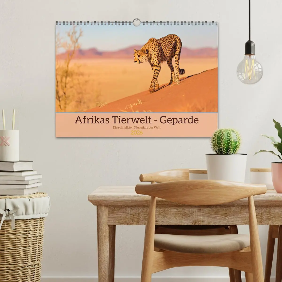 Bild: 9783457264959 | Afrikas Tierwelt - Geparde (Wandkalender 2026 DIN A3 quer),...