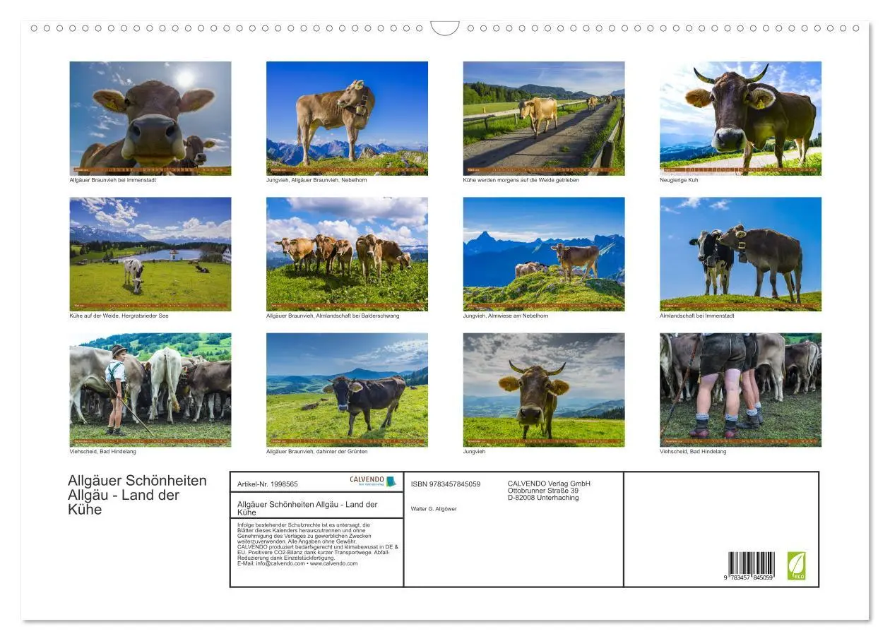 Bild: 9783457845059 | Allgäuer Schönheiten Allgäu - Land der Kühe (Wandkalender 2026 DIN...