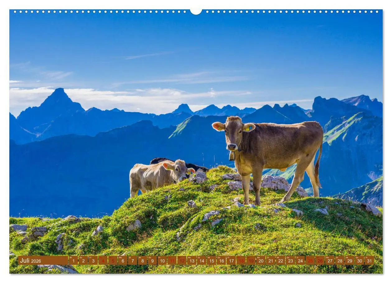 Bild: 9783457845059 | Allgäuer Schönheiten Allgäu - Land der Kühe (Wandkalender 2026 DIN...