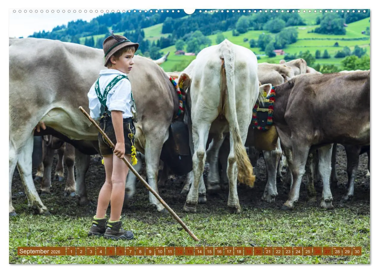 Bild: 9783457845059 | Allgäuer Schönheiten Allgäu - Land der Kühe (Wandkalender 2026 DIN...