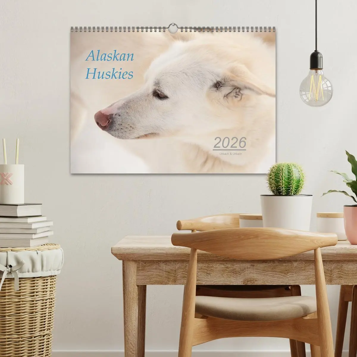 Bild: 9783457905159 | Alaskan Huskies (Wandkalender 2026 DIN A3 quer), CALVENDO...