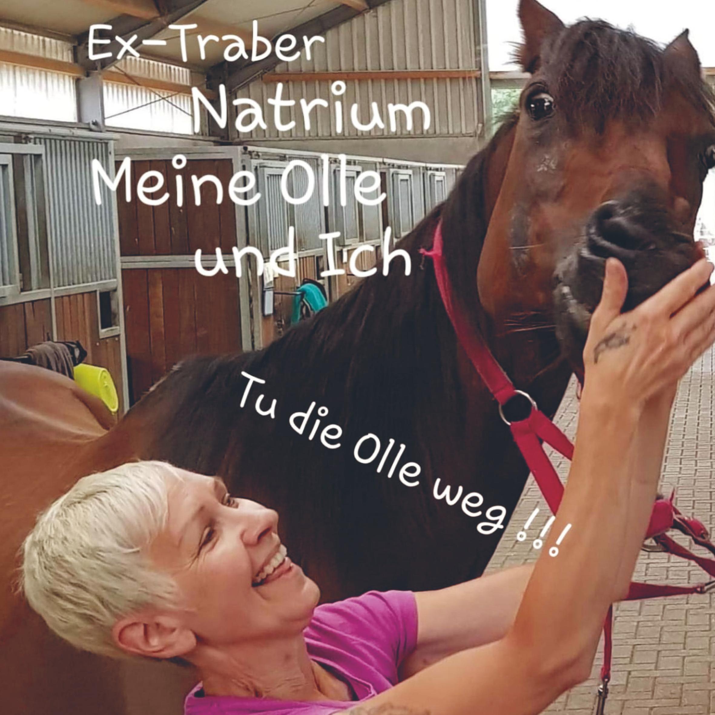 Cover: 9789463865159 | Ex-Traber Natrium | Meine Olle und ich | Ela S | Taschenbuch | 60 S.