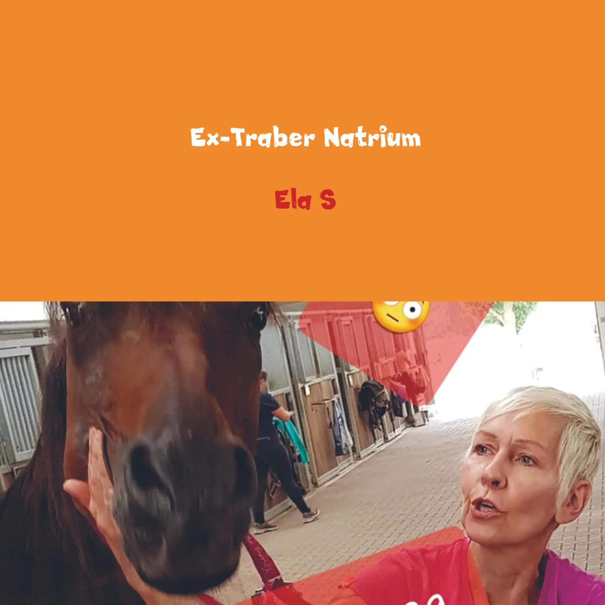 Cover: 9789463865159 | Ex-Traber Natrium | Meine Olle und ich | Ela S | Taschenbuch | 60 S.