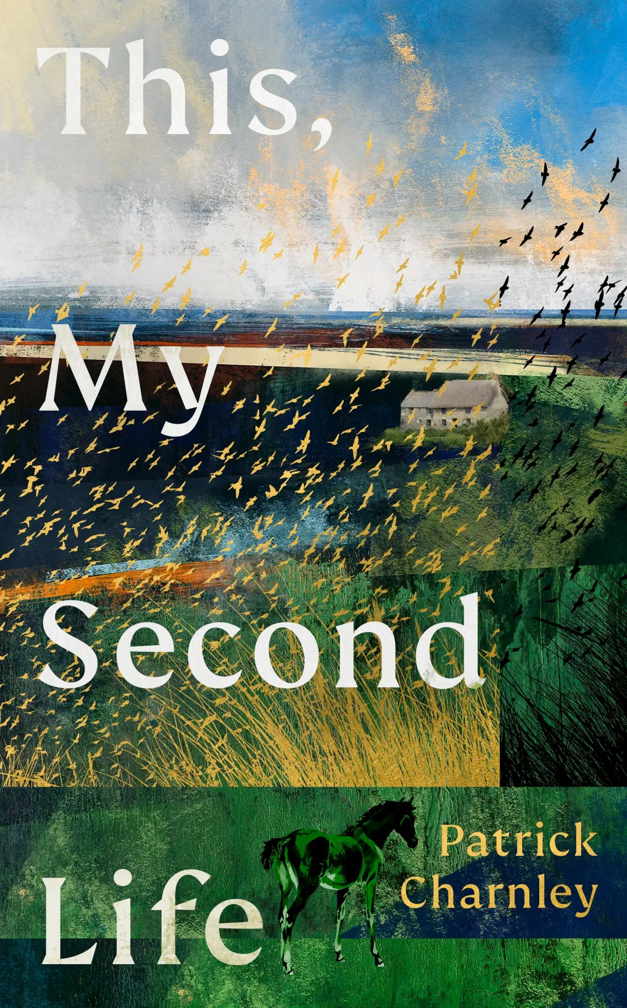 Cover: 9781529155259 | This, My Second Life | Patrick Charnley | Buch | Englisch | 2026