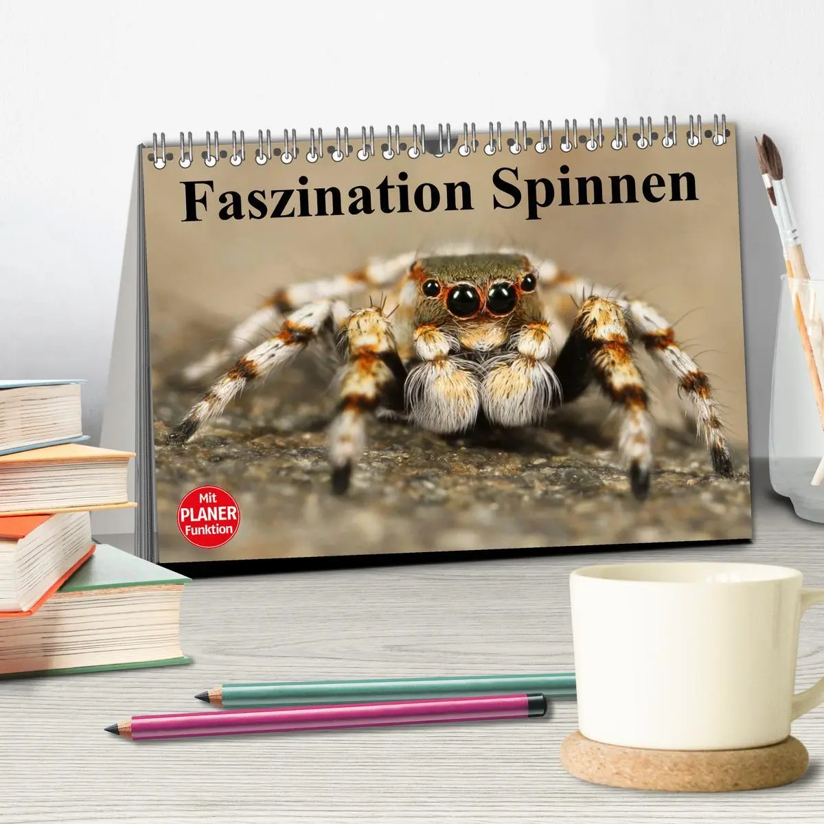 Bild: 9783457995259 | Faszination Spinnen (Tischkalender 2026 DIN A5 quer), CALVENDO...