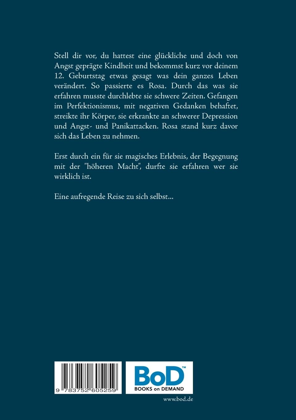 Rückseite: 9783752605259 | Reset - Im nächsten Leben finde ich mich früher | Rosa Celida | Buch