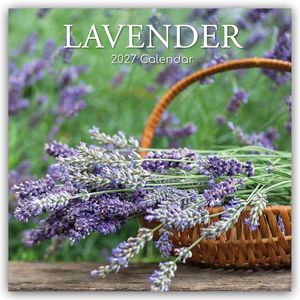 Cover: 9781805975359 | Lavender - Lavendel 2027 - 16-Monatskalender | Ltd | Kalender | 28 S.