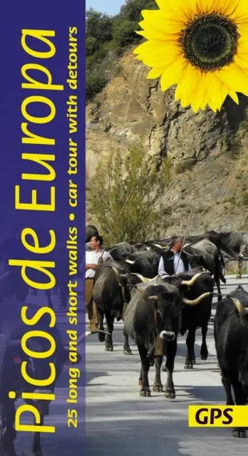 Cover: 9781856915359 | Picos de Europa Sunflower Walking Guide | Teresa Farino | Taschenbuch