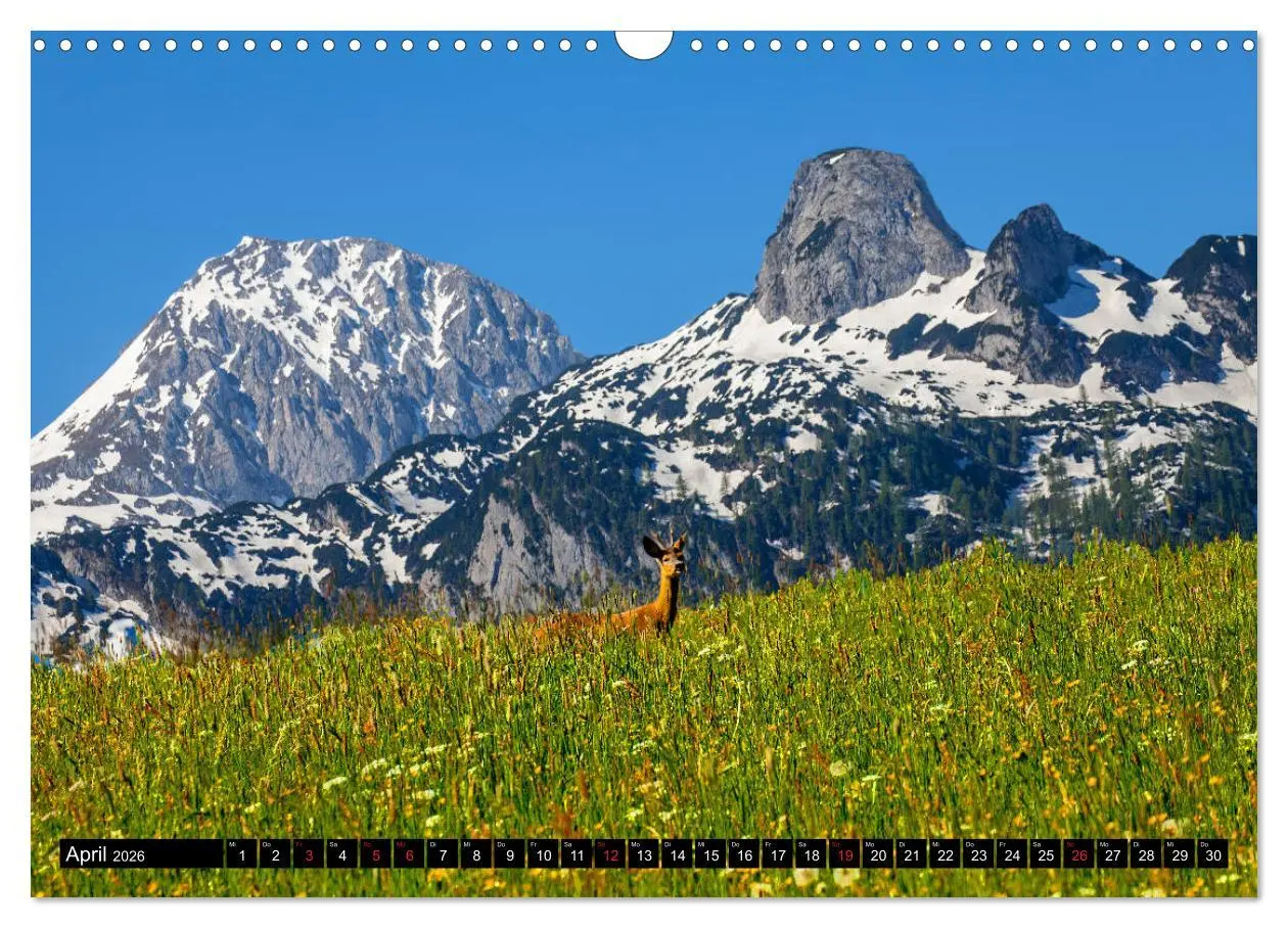 Bild: 9783457745359 | Abtenau im Lammertal (Wandkalender 2026 DIN A3 quer), CALVENDO...