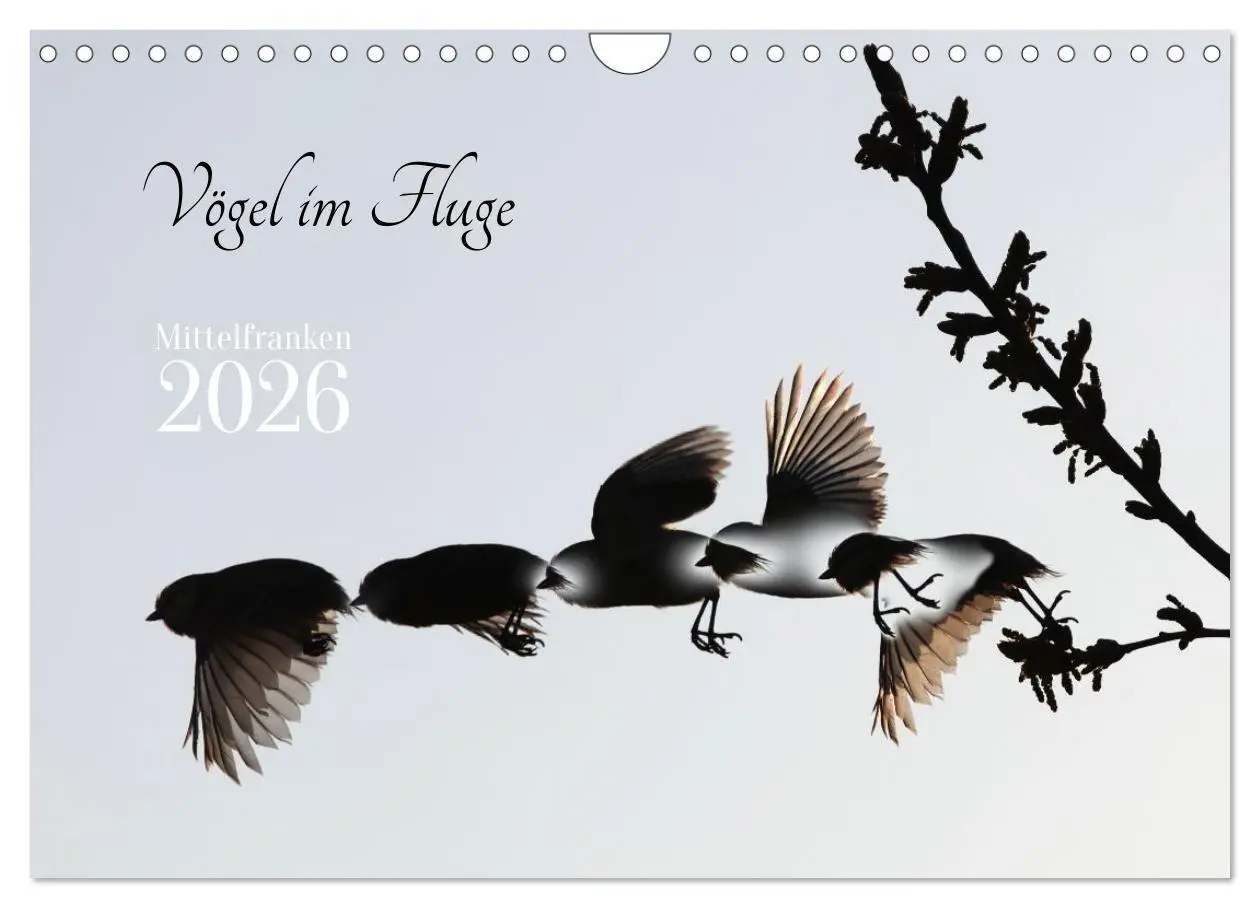 Cover: 9783516695359 | Vögel im Fluge (Wandkalender 2026 DIN A4 quer), CALVENDO...