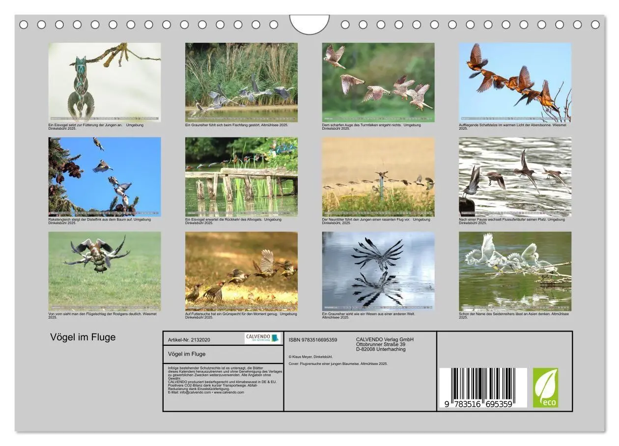 Bild: 9783516695359 | Vögel im Fluge (Wandkalender 2026 DIN A4 quer), CALVENDO...