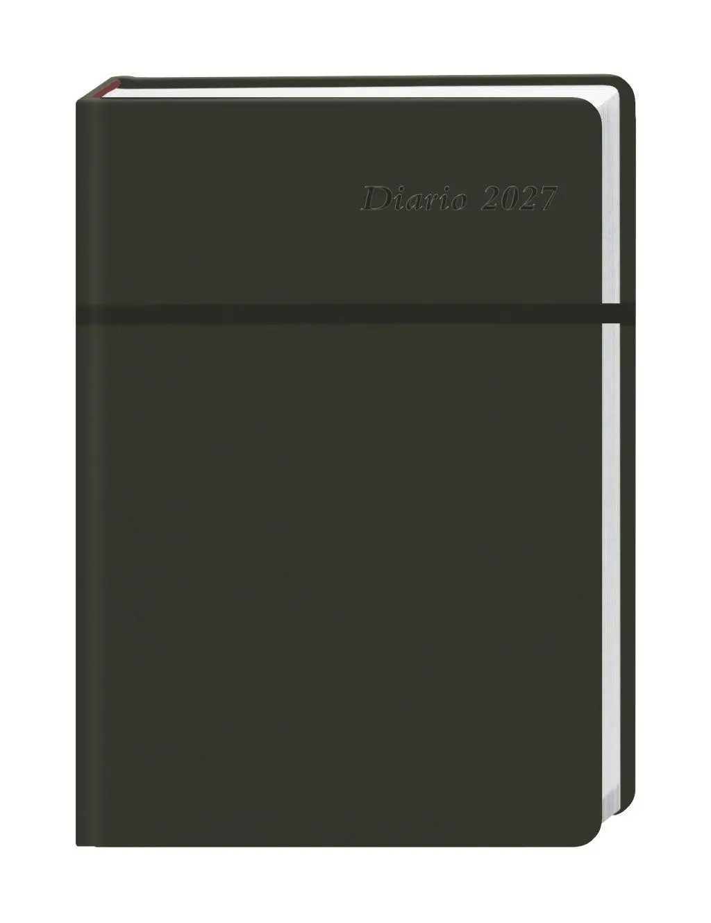 Cover: 9783756415359 | Diario Wochen-Kalenderbuch A6, schwarz 2027 | Buch | Bürokalender Heye