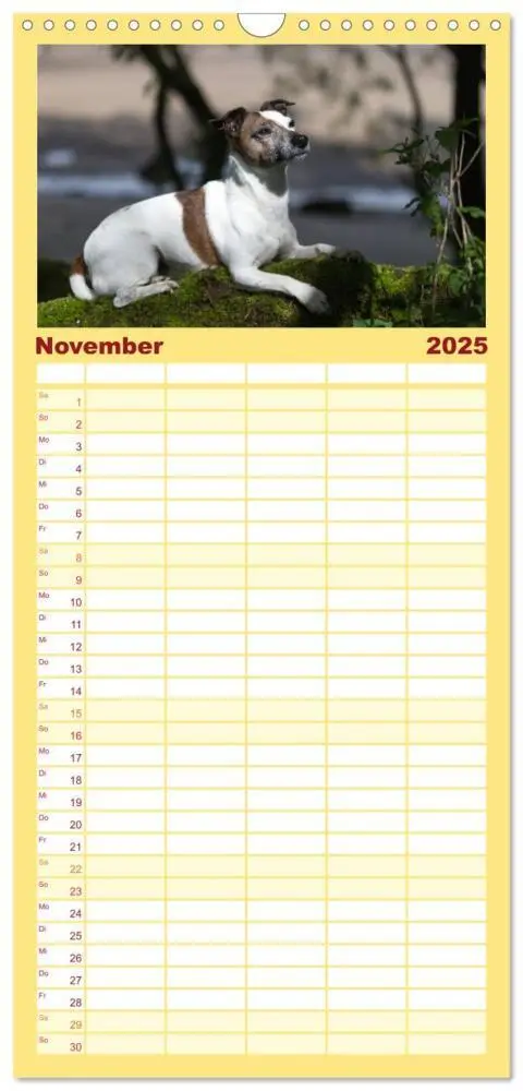 Bild: 9783457115459 | Familienplaner 2025 - Jack Russell - Klein, aber oho! mit 5 Spalten...