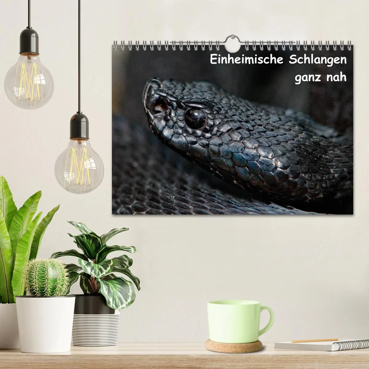 Bild: 9783516205459 | Einheimische Schlangen ganz nah (Wandkalender 2026 DIN A4 quer),...