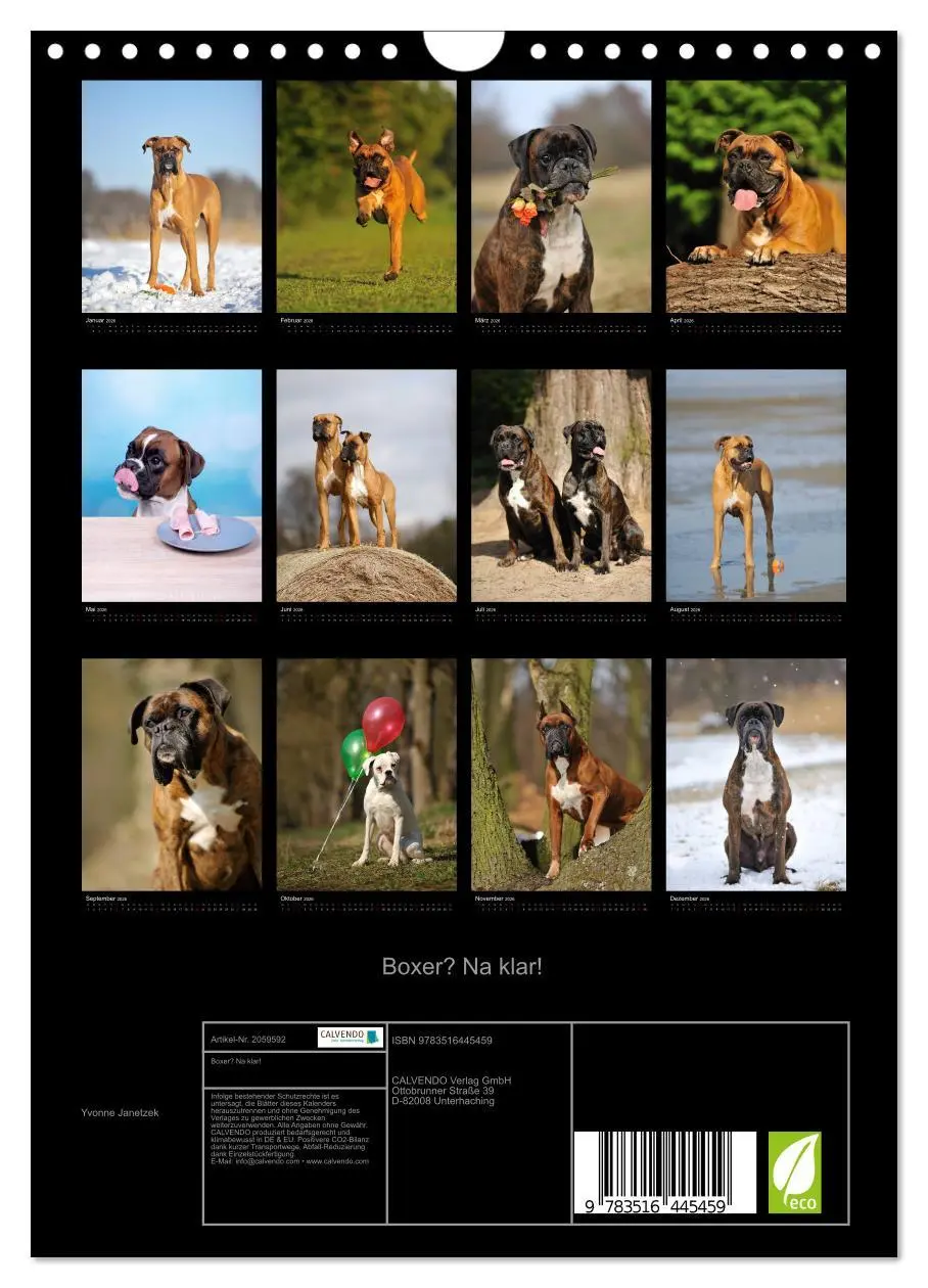 Bild: 9783516445459 | Boxer? Na klar! (Wandkalender 2026 DIN A4 hoch), CALVENDO...