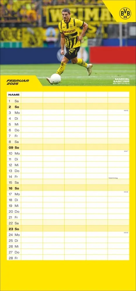 Bild: 9783756405459 | BVB Familienplaner 2025 | Kalender | Spiralbindung | Kalender | 2025