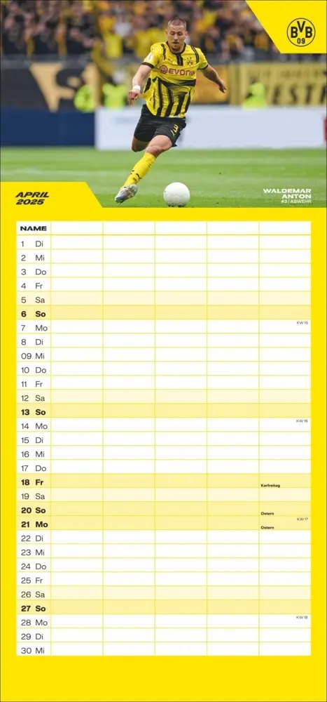 Bild: 9783756405459 | BVB Familienplaner 2025 | Kalender | Spiralbindung | Kalender | 2025