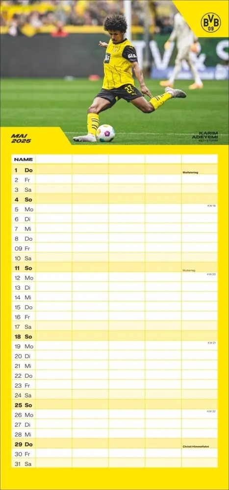 Bild: 9783756405459 | BVB Familienplaner 2025 | Kalender | Spiralbindung | Kalender | 2025