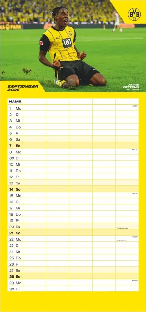 Bild: 9783756405459 | BVB Familienplaner 2025 | Kalender | Spiralbindung | Kalender | 2025