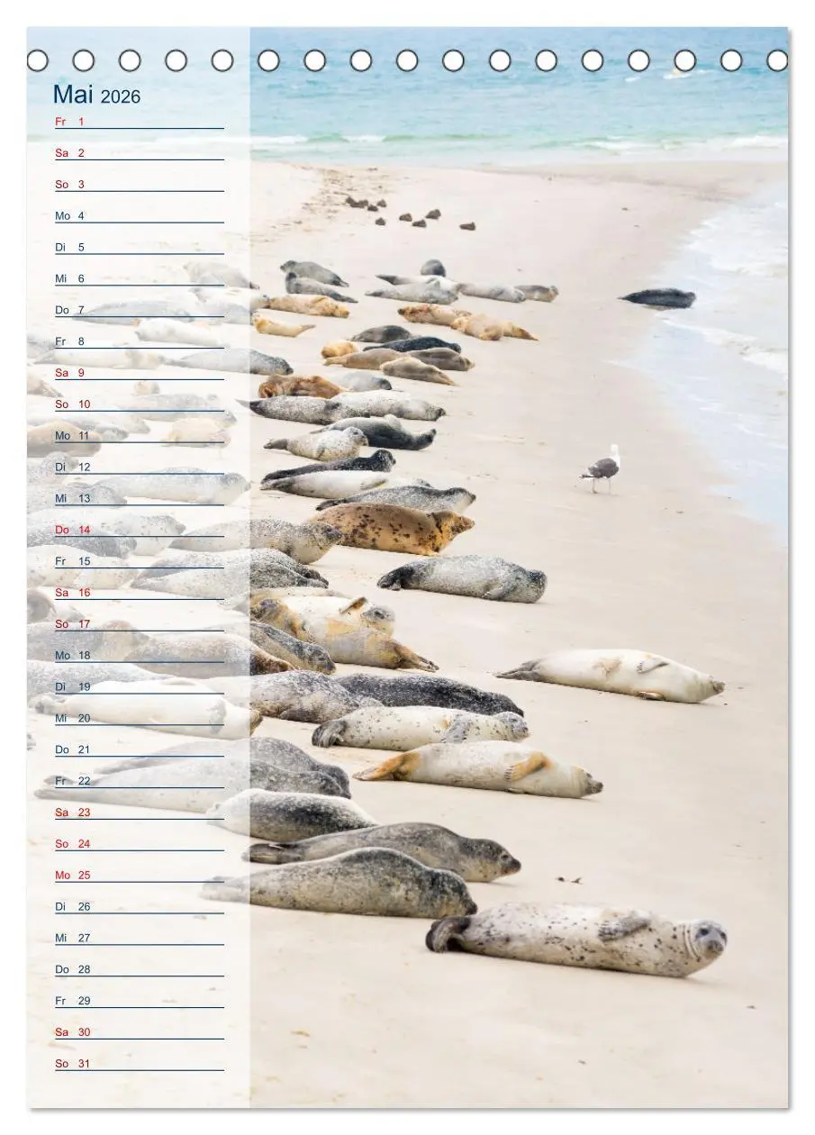 Bild: 9783516365559 | Maritim - Geburtstagskalender (Tischkalender 2026 DIN A5 hoch),...