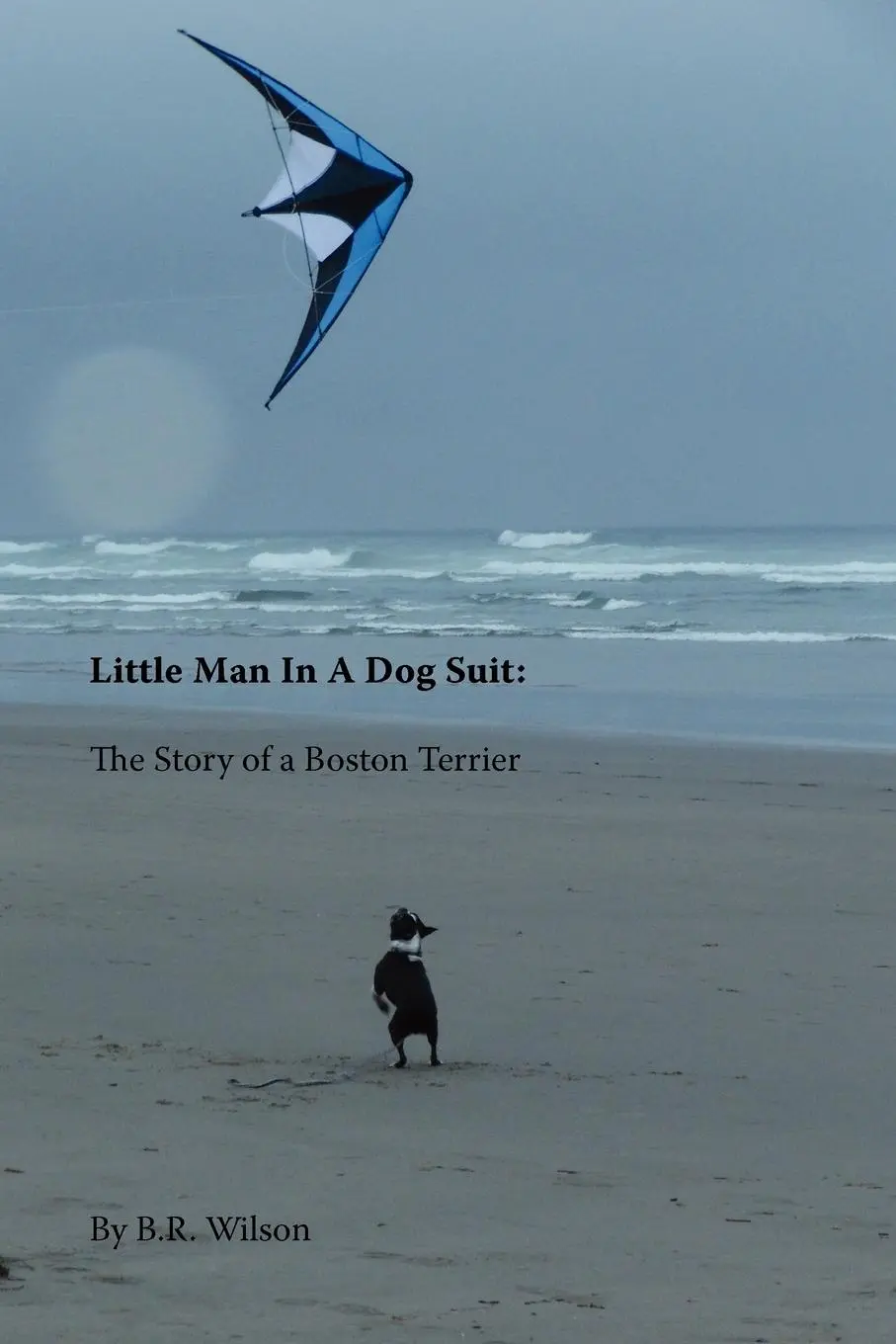 Cover: 9780983495659 | Little Man in a Dog Suit | The Story of a Boston Terrier | Taschenbuch