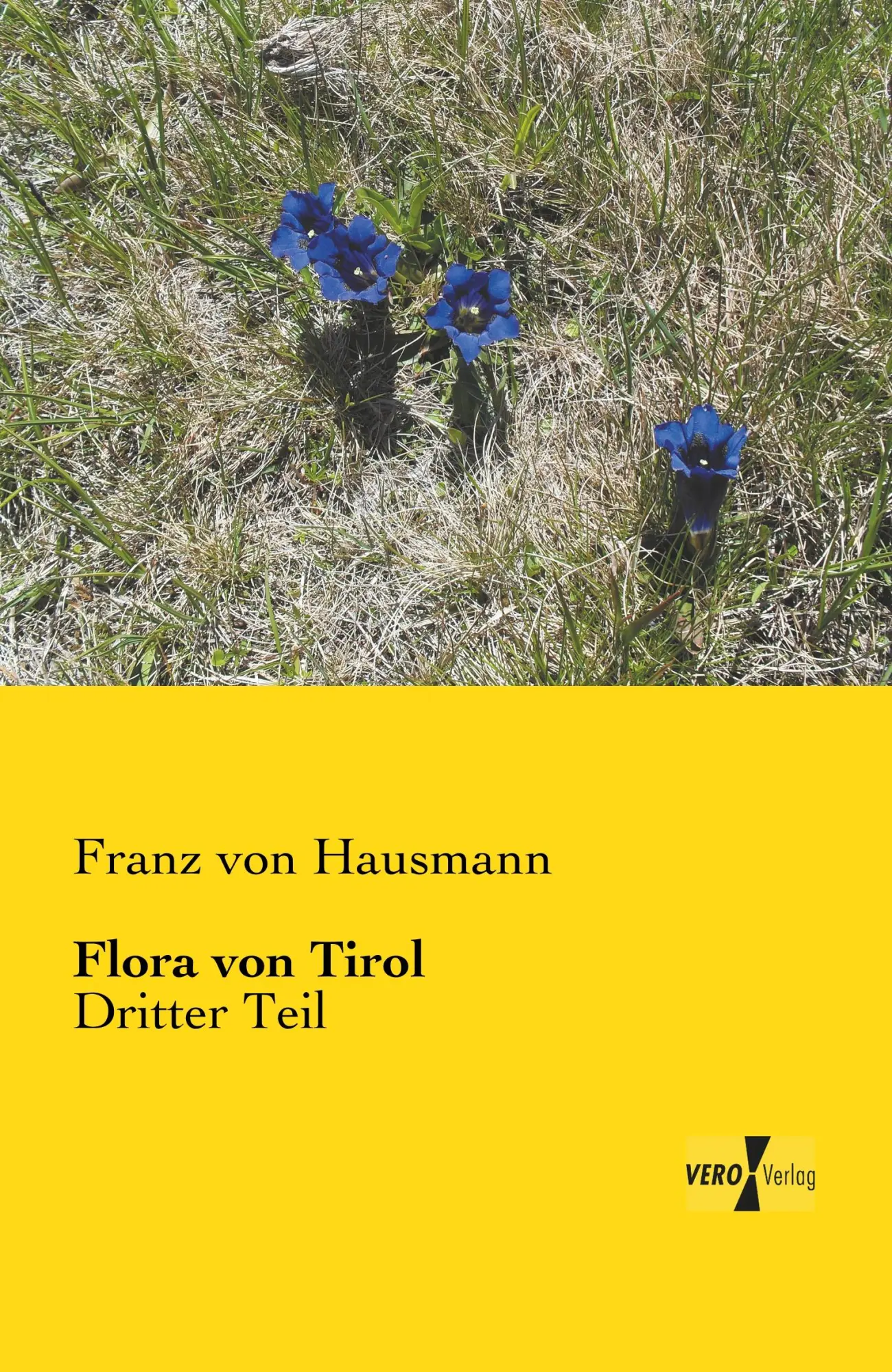 Cover: 9783957385659 | Flora von Tirol | Dritter Teil | Franz Von Hausmann | Taschenbuch