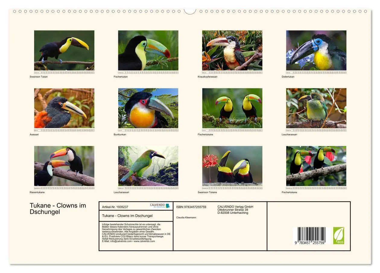 Bild: 9783457255759 | Tukane - Clowns im Dschungel (hochwertiger Premium Wandkalender...