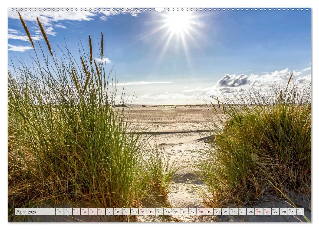 Bild: 9783457635759 | BORKUM-LIEBE (Wandkalender 2026 DIN A2 quer), CALVENDO Monatskalender