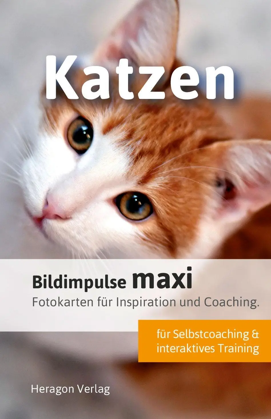 Cover: 9783942805759 | Bildimpulse maxi: Katzen | Bodo Pack | Lehr-, Lern-, Bildkarten | 2018