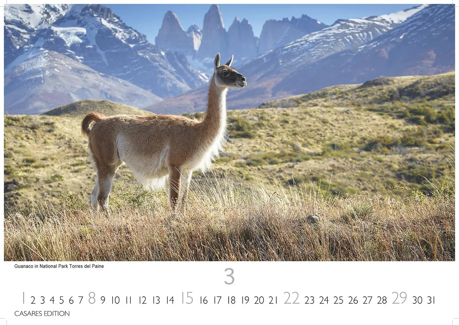Bild: 9781835245859 | Chile Kalender 2026 - Wandkalender Fotokalender Südamerika 24x35cm...