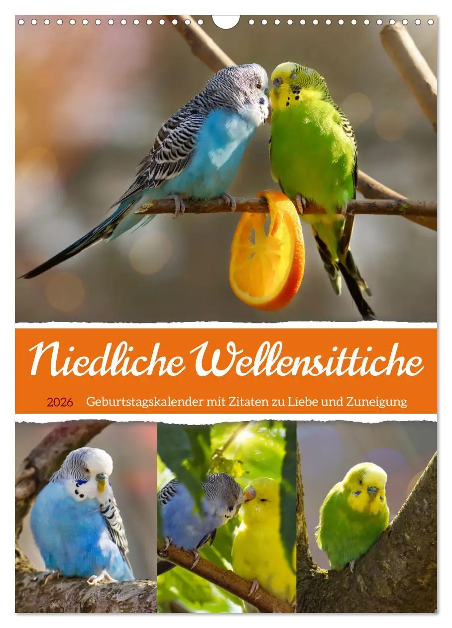 Cover: 9783516335859 | Niedliche Wellensittiche (Wandkalender 2026 DIN A3 hoch), CALVENDO...
