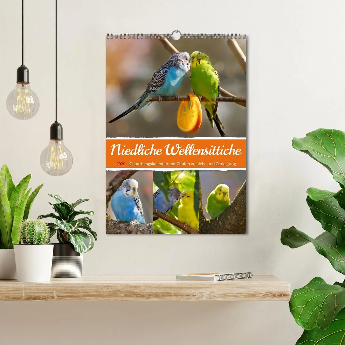 Bild: 9783516335859 | Niedliche Wellensittiche (Wandkalender 2026 DIN A3 hoch), CALVENDO...