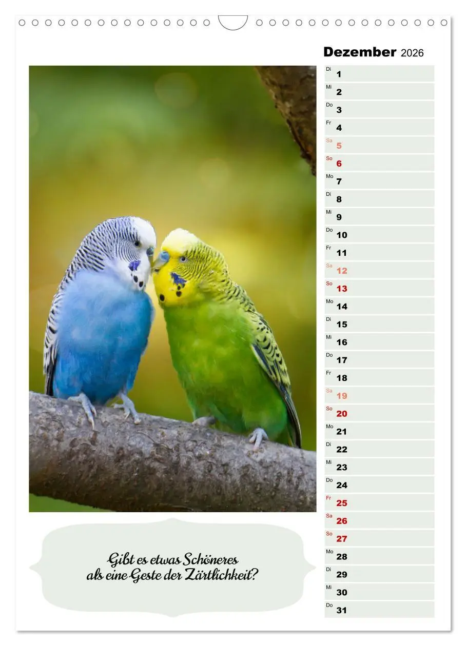 Bild: 9783516335859 | Niedliche Wellensittiche (Wandkalender 2026 DIN A3 hoch), CALVENDO...