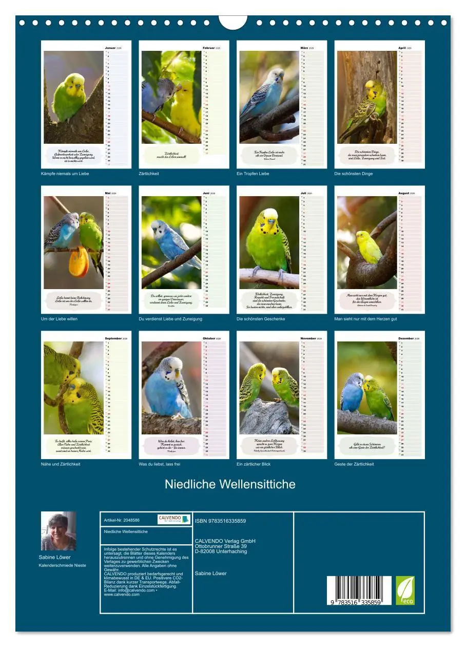 Bild: 9783516335859 | Niedliche Wellensittiche (Wandkalender 2026 DIN A3 hoch), CALVENDO...